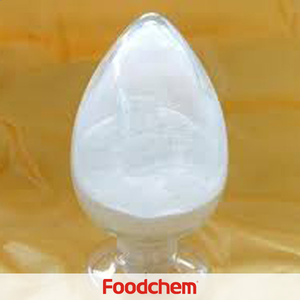 Procainhydrochlorids Lieferanten