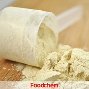 I1401_protein-powder-soy