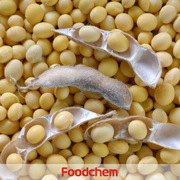 I1401_soy-protein-4