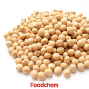 I104_soybean protein isolate