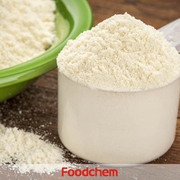 I1101_Protein-Powder_21