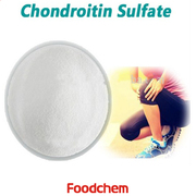 R101_Chondroitin Sulfate