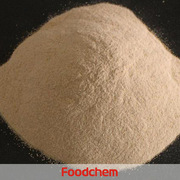 K1901_Sodium_Alginate