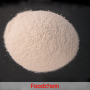 K1119_calcium alginate 1