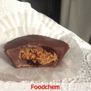 P1004_聚甘油聚蓖麻酸酯_3