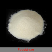 I903_sodium_caseinate_powder_500x500-500x500