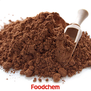 C101_Cocoa_powder