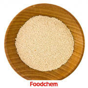 E805_bowl-of-yeast