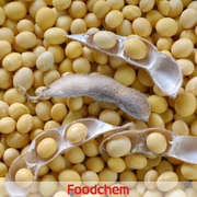 O106_img_how_to_use_soy_lecithin_2215_orig