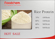 BI_Rice protein3