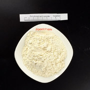 产品图片_Dehydrated garlic powder1