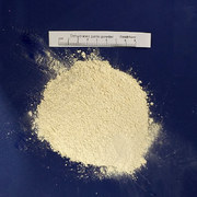产品图片_Dehydrated garlic powder4