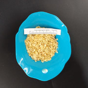 产品图片_Dehydrated garlic tablets6