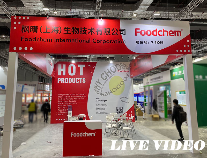 Hi-Fi Asia China exhibition live video