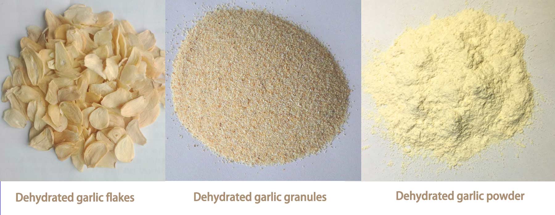 Dehydrated Garlic supplier