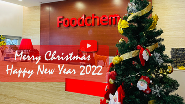 Foodchem wish you Merry Christmas